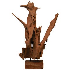 Large Interesting Driftwood Sculpture 8