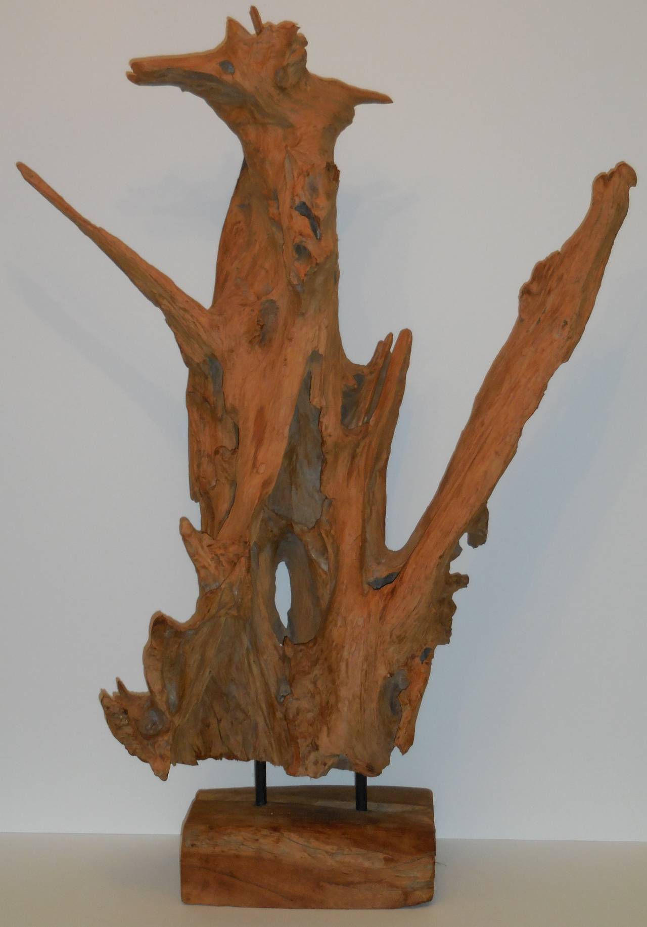 Unusual large driftwood, very intriguing look; like abstract animal 
(15
