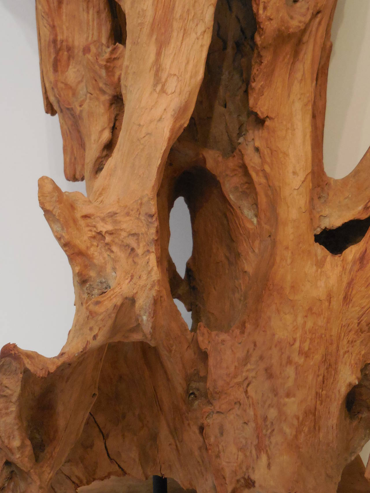 20th Century Large Interesting Driftwood Sculpture