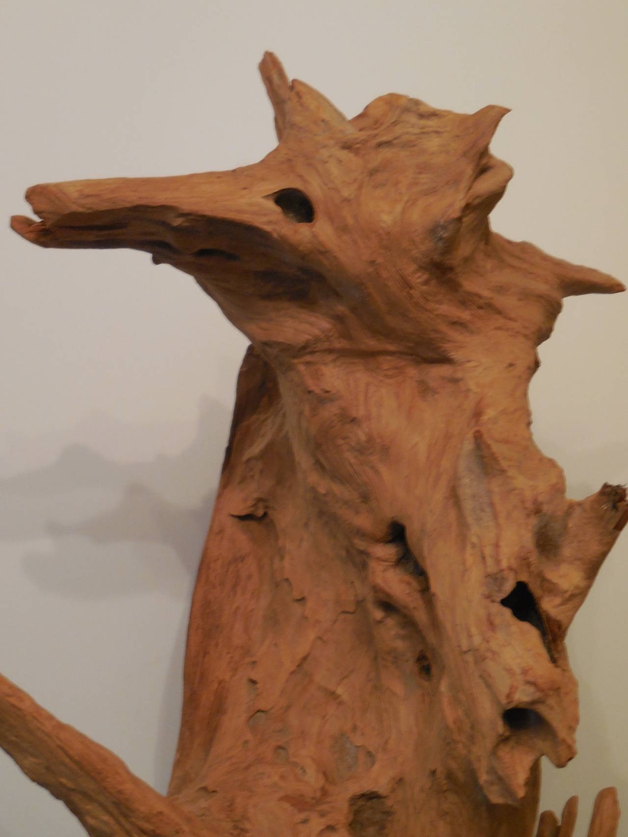 Petrified Wood Large Interesting Driftwood Sculpture