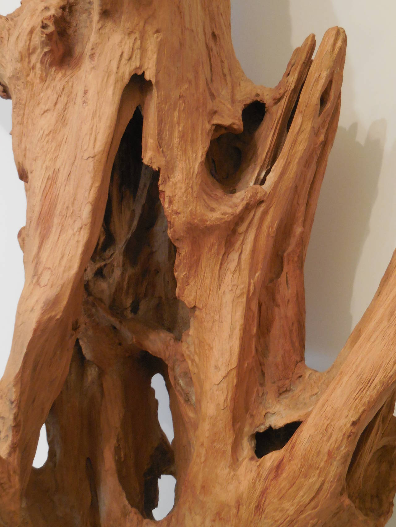 Large Interesting Driftwood Sculpture 1