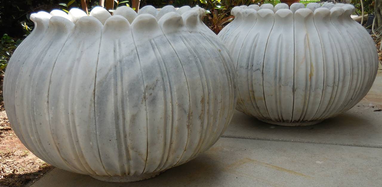 Unusual pair of architectural marble planters, made of fine carved marble.
In the shape of tulip flower solid and deep for planting even small tree.
White and cream color with gray vain.
Size :
1. 24