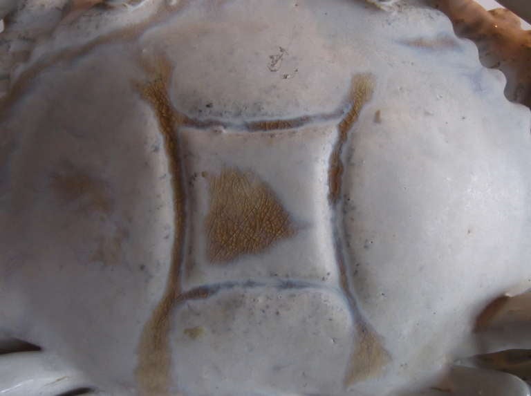 Ceramic Pair Of Crab Lamps