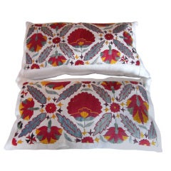 Pair of Beautiful Suzani pillows