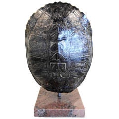 Turtle shell