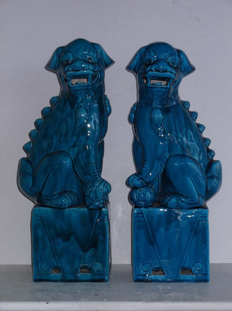 Pair of porcelain foo dog with beautiful turquoise color,
Both have   deferent shade of turquoise ,which is very hard to see .great pair .