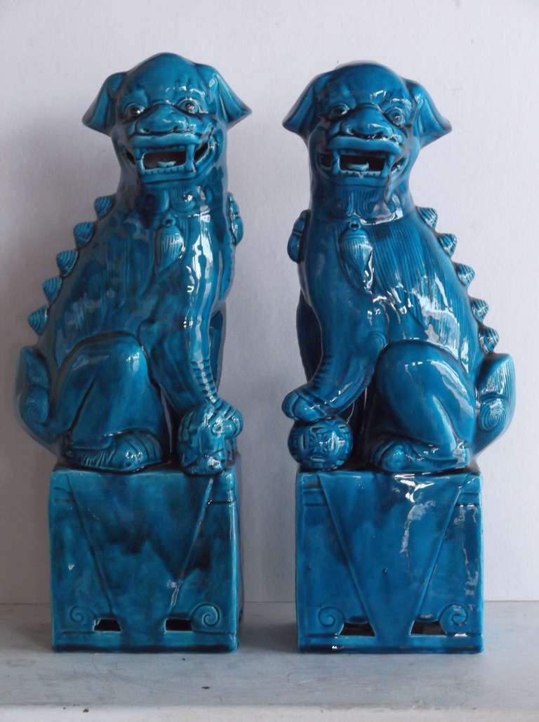 Chinese Pair of 1960's Turquoise Porcelain Foo Dogs