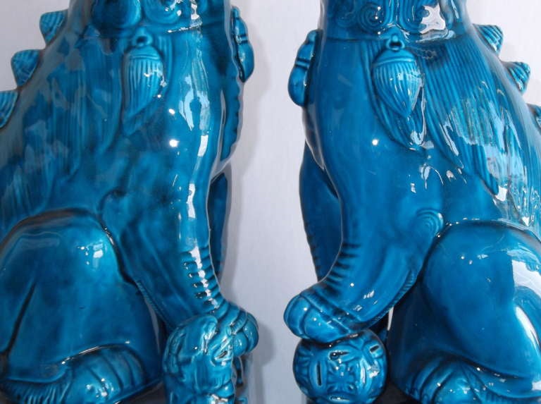 Pair of 1960's Turquoise Porcelain Foo Dogs 1