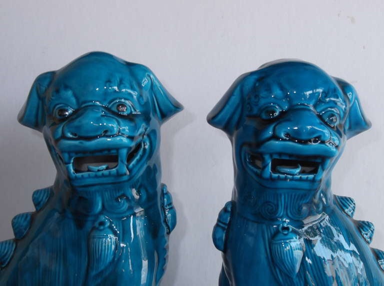 Pair of 1960's Turquoise Porcelain Foo Dogs 2