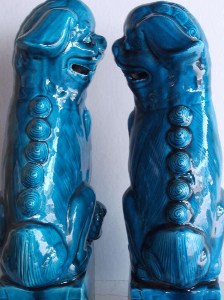Pair of 1960's Turquoise Porcelain Foo Dogs 3