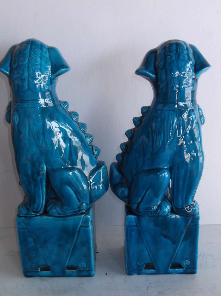 Pair of 1960's Turquoise Porcelain Foo Dogs 4