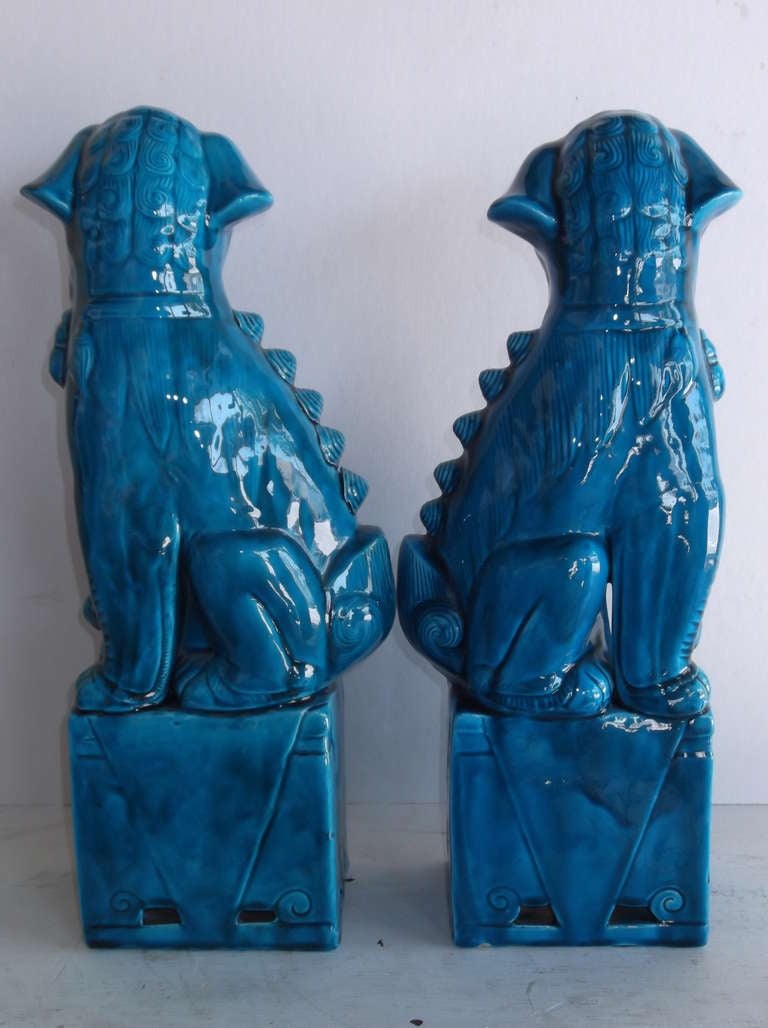 Pair of 1960's Turquoise Porcelain Foo Dogs 5