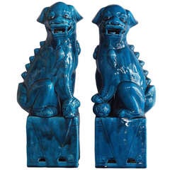 Pair of 1960's Turquoise Porcelain Foo Dogs
