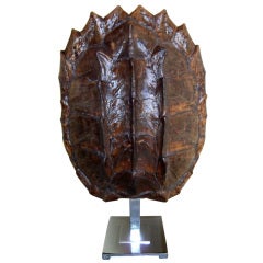 Turtle Shell on Stand