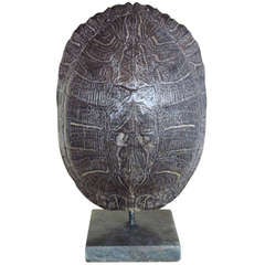 Turtle Shell