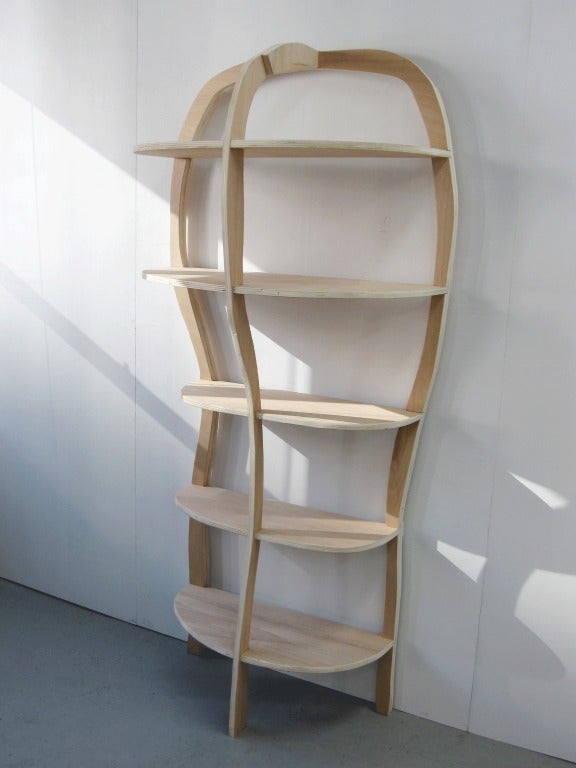 Plywood Bookcase or Shelves by Jacques Jarrige, 2012 For Sale