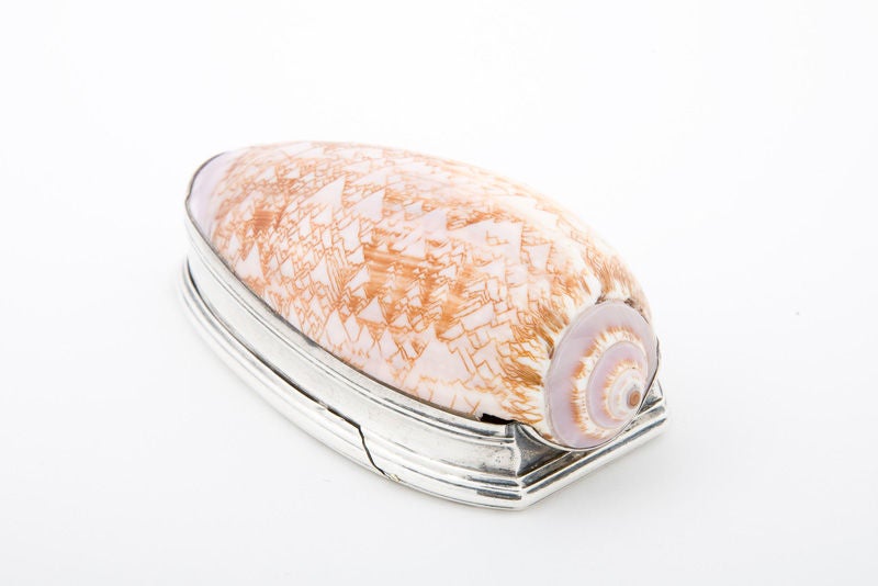 This Irish George III period snuff box, made in Dublin, is formed by a large olive shell mounted with sterling silver, incised with neoclassical motifs.<br />
Makers mark: Aeneas Ryan (active 1784-1809)<br />
Date mark: 1788<br />
Place mark: