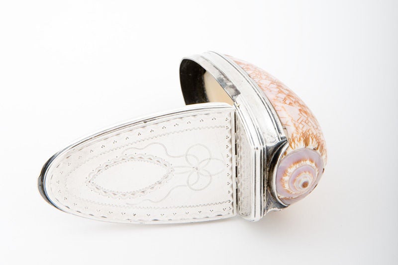 18th Century and Earlier Irish George III Silver Mounted Shell Snuff Box by Aeneas Ryan