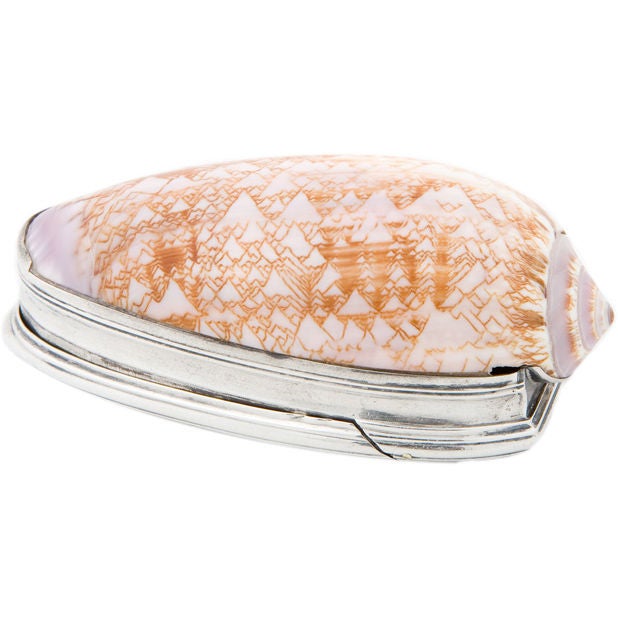 Irish George III Silver Mounted Shell Snuff Box by Aeneas Ryan