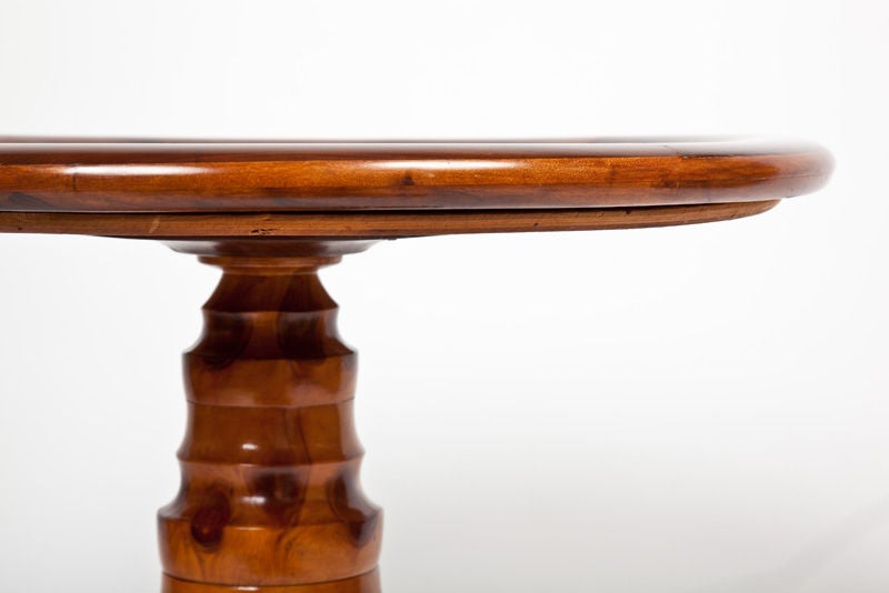 Brazilian Butterfly Specimen Table 1