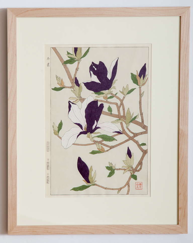 Japanese Show Botanical Print of a Magnolia Branch