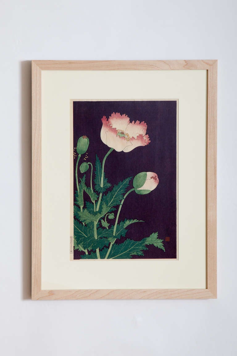This fine Japanese color wood block print, depicting poppies on a dark ground, is by Ohara Shoson, one of the leading artists of the Showa period. Shoson (1877-1945) was a highly recognized painter and printmaker, who also went by the names Koson