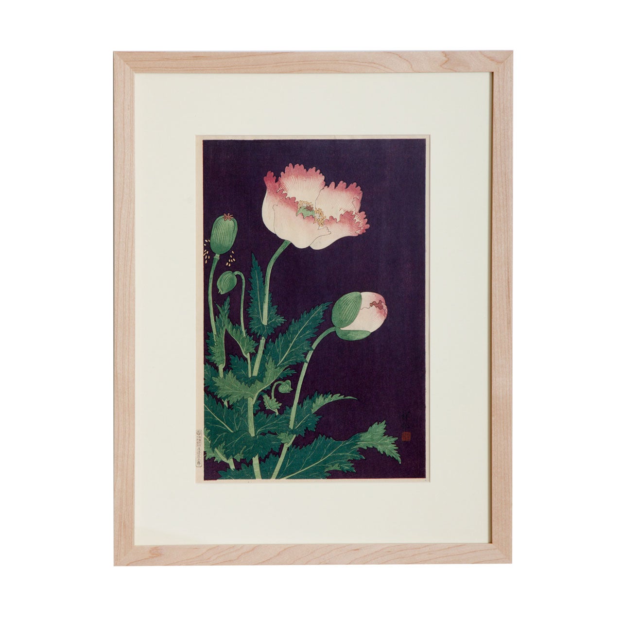 Japanese Showa Botanical Print of Poppies For Sale