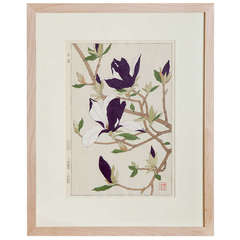 Vintage Japanese Show Botanical Print of a Magnolia Branch