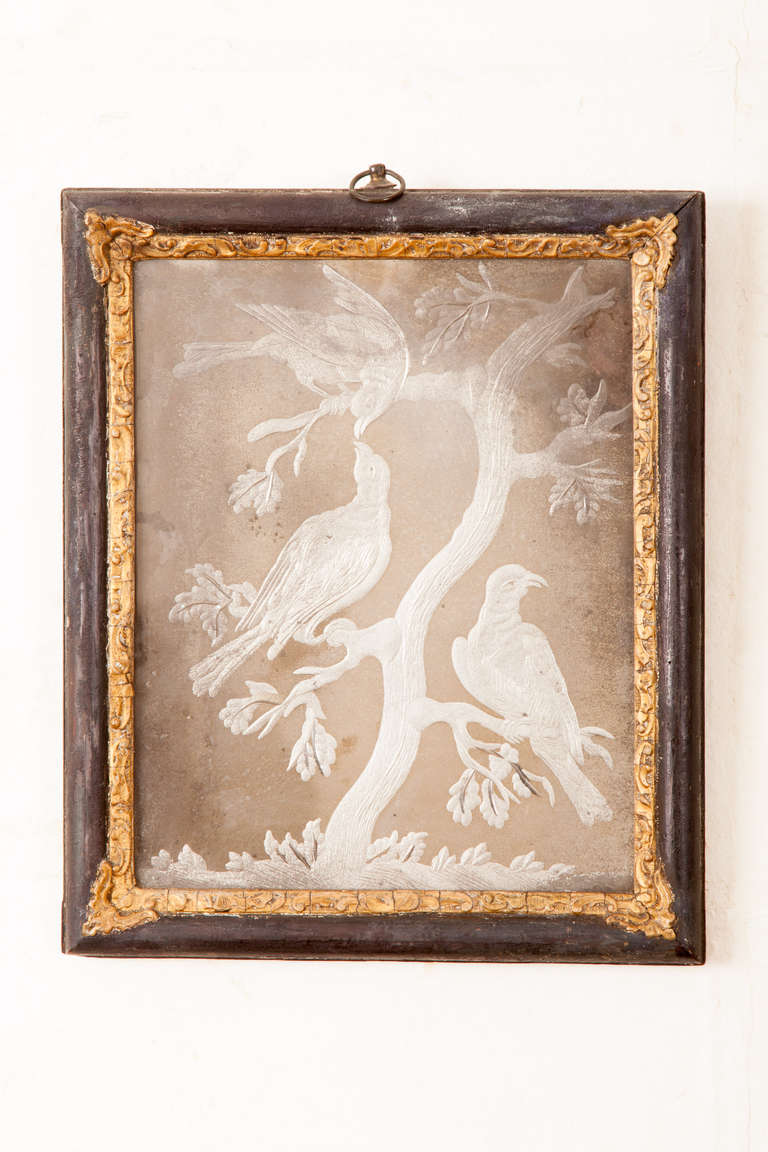 This late seventeenth century Dutch engraved mirror glass picture depicts birds resting on branches of a tree, within its original ebonized and parcel gilded frame. Engraved decoration on mirrors was popular in the late seventeenth and early