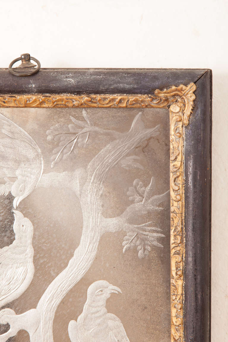 Ebonized Rare Dutch Engraved Mirror Glass Picture
