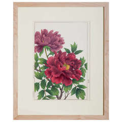 Japanese Showa Botanical Print of Peonies 9
