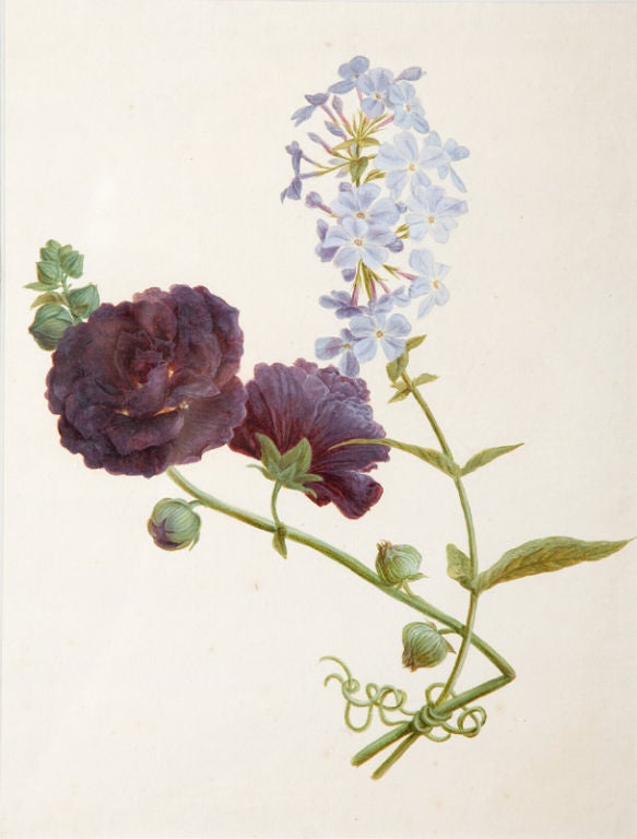 Austrian Watercolor Study of Flowers attributed to Josef Wundsam