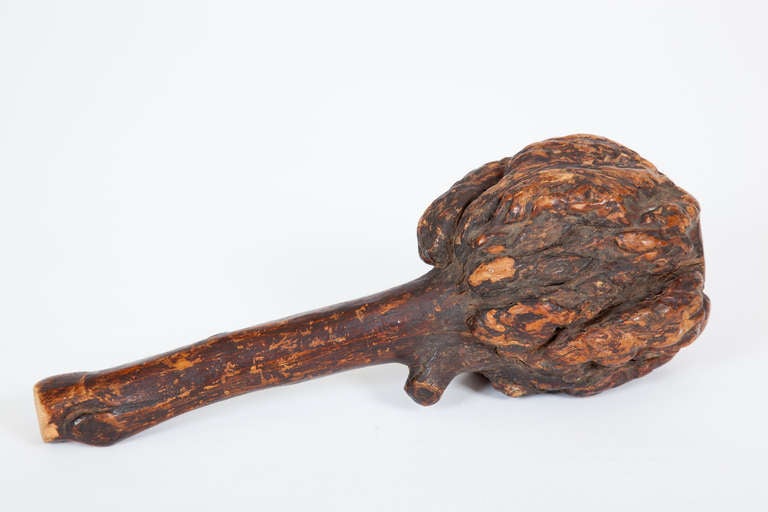 This nineteenth century Native American war club is made from a large burled wooden branch, patinated with age.