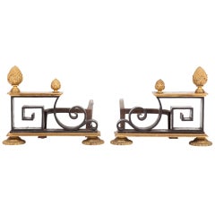 Pair of French Neoclassical Andirons (Chenets)