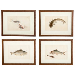 Set of Four Chinese Export Fish Watercolors