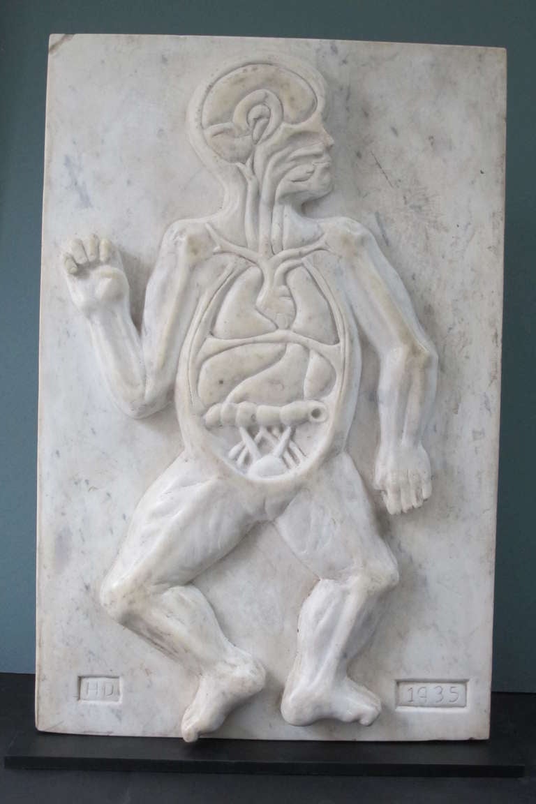 Marble Anatomical Sculpture by HD In Excellent Condition In New York, NY