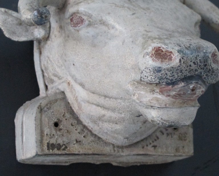 Painted cast iron bull head with coin slot.  When the horns are pushed perfume would squirt out of the mouth.  There is a mechanical device inside the head that dispenses the scent.  Has date of 1902 and marked Toronto.  Nice old painted surface.