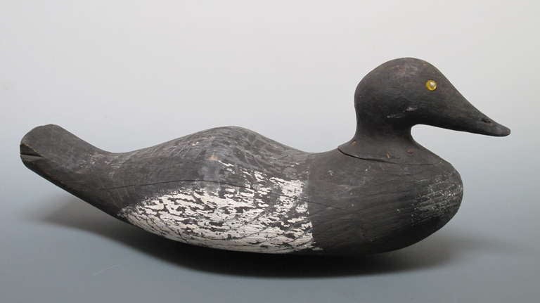 Nice old duck decoy with old dry paint. Sculptural flattened body low to the water with iron ox shoe bottom weight. Found in Mass. NE coast.