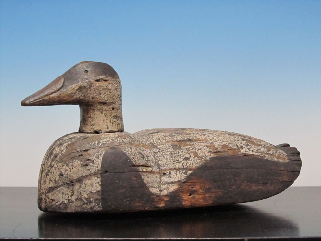 Eider Decoy
