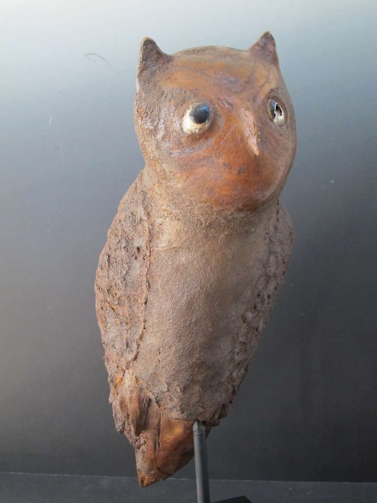 Owls hold a special place in the animal kingdom. This owl carving captures the mystery of the wide eyed night creature with it's enigmatic head that looks down on it's realm. Carved from a single piece of wood the wings are built up and textured
