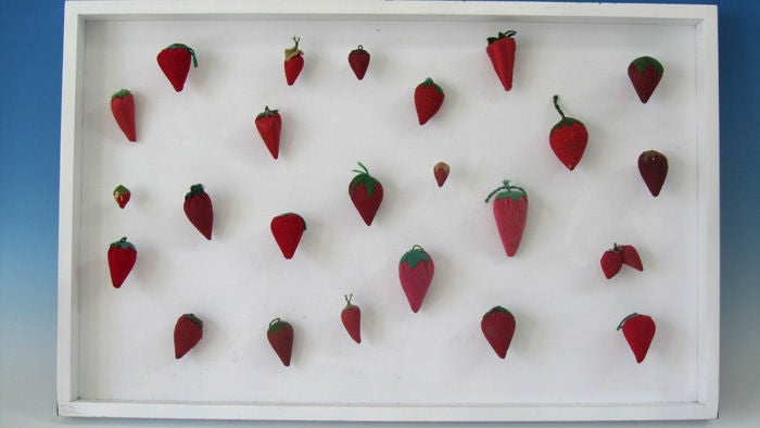 Women used to make and use strawberries filled with iron filings to store and sharpen needles.  Each is handmade, different, sewn and embroidered. Mounted in shadow box with pins.
