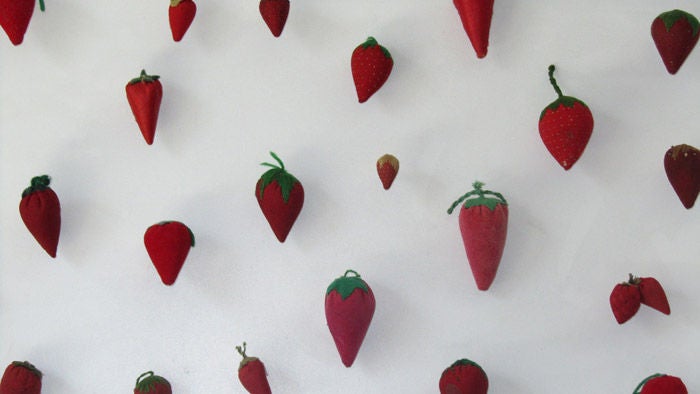 20th Century Strawberry Collection