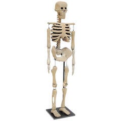 Wood Skeleton Puppet
