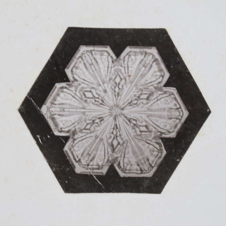 Wilson A. Bentley (1865 - 1931) pioneered the photography of snowflakes proving the common wisdom 