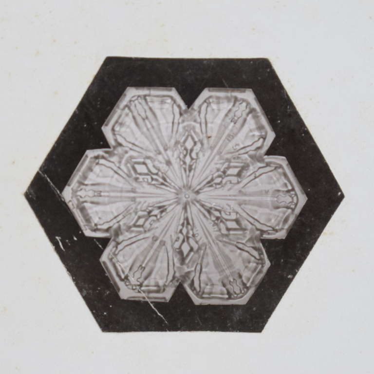 American Snowflake Photograph by William Snowflake Bentley