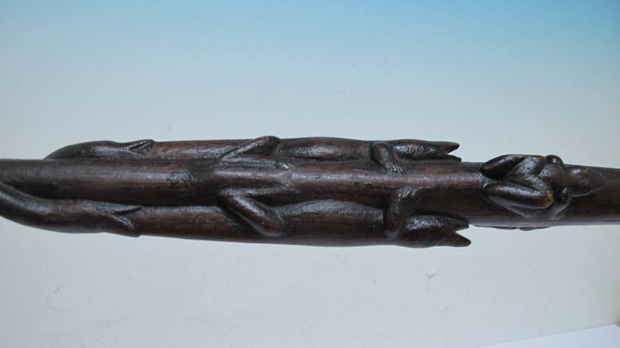 Remarkable carved cane with two frogs at the top pursued by two lizards about to be eaten by a pair of entwined snakes. Nice old surface to this 19th century cane. Believe to be from the Georgia or South Carolina coast or barrier island 
where