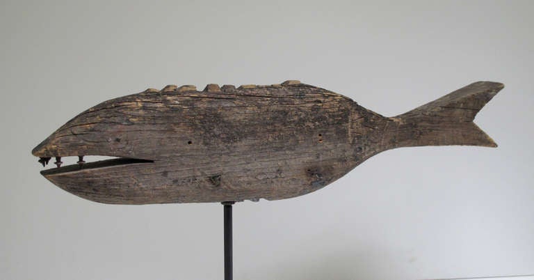 Old handmade fish weathervane with open mouth filled with unusual metal teeth.  The weathered wood fish would have made a dramatic 
image over the roof of a New England house. The fish has a bit of an evil grin with its open mouth..  Ht on metal