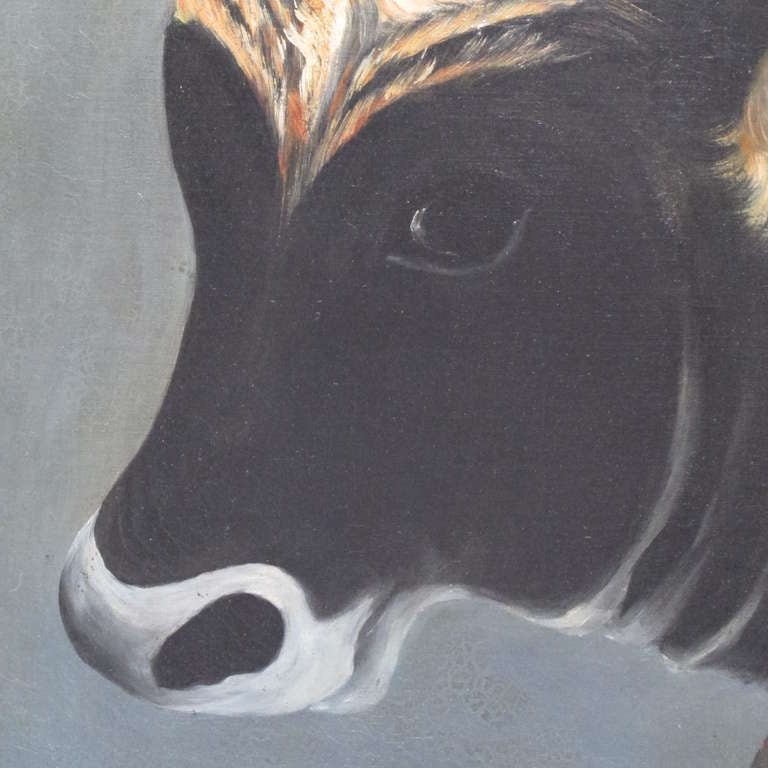 American Portrait of a Cow Painting on Canvas For Sale