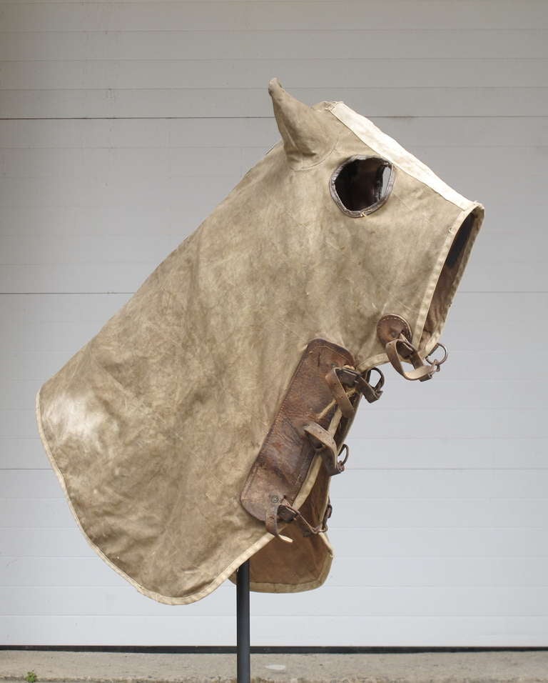 Primitive Early Masked Thoroughbred Horse Cloak