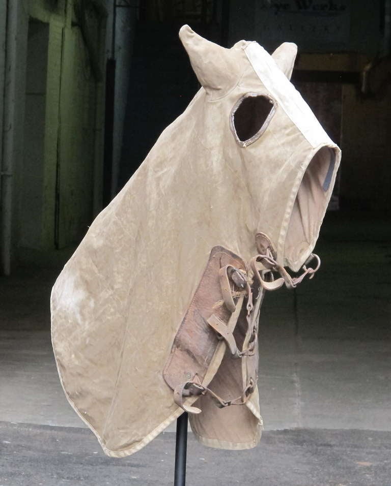American Early Masked Thoroughbred Horse Cloak